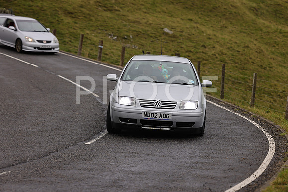 Steve - 3N3A9999 (1606)