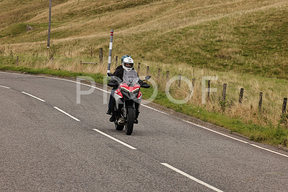 Steve - 3N3A9999 (5015)