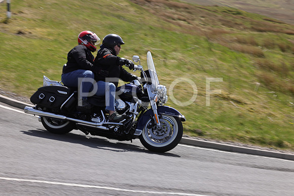 3N3A8780