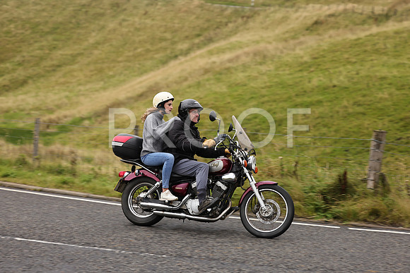 Steve - 3N3A9999 (1211)