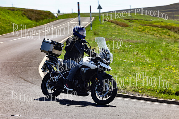 Daves (78)