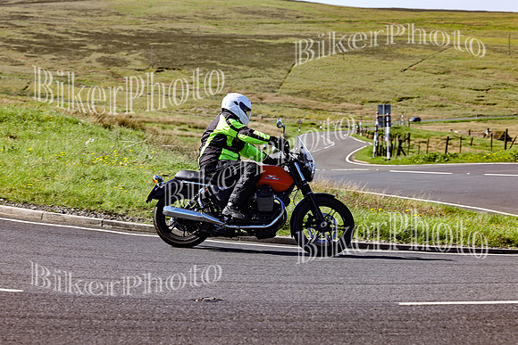 Daves (54)