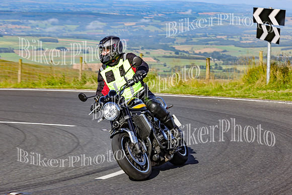3N3A5636