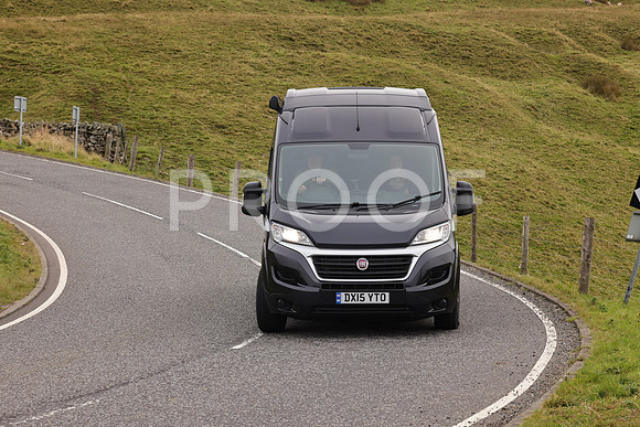 Steve - 3N3A9999 (2561)