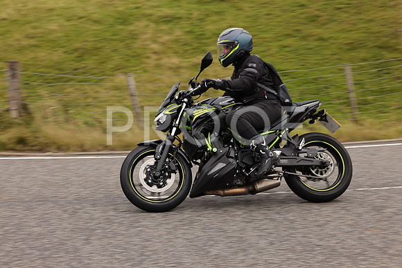 Steve - 3N3A9999 (2912)