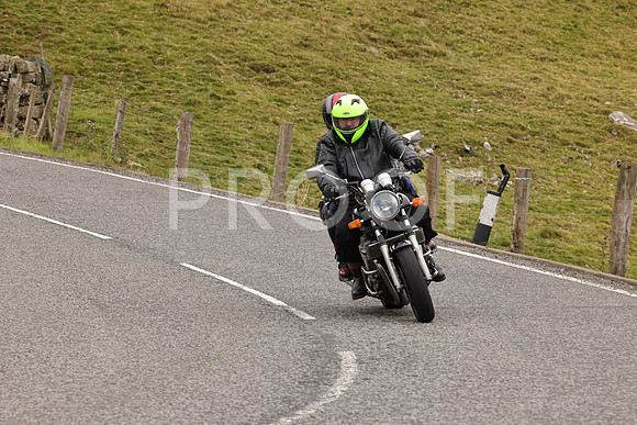 Steve - 3N3A9999 (4791)