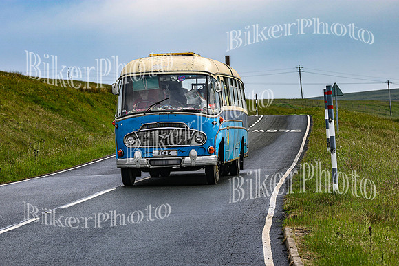 0W9A3564 (2)