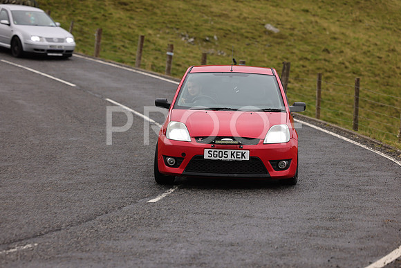 Steve - 3N3A9999 (1594)