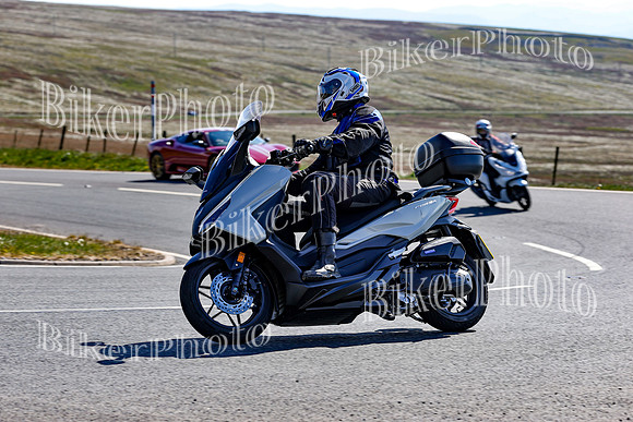 0W9A0663