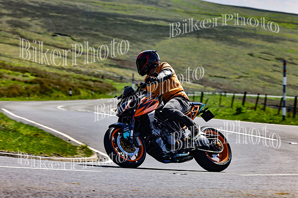 Daves (60)