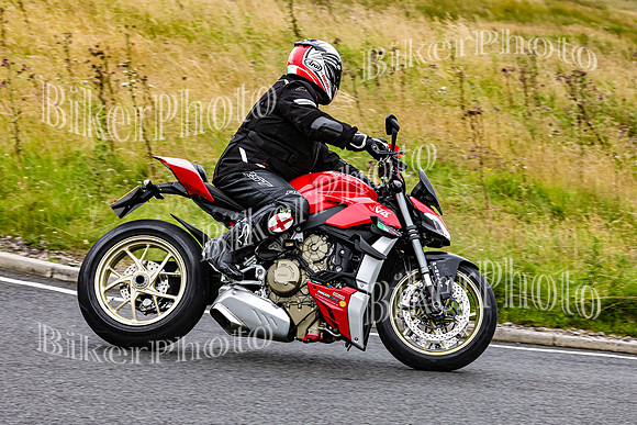 0W9A0888