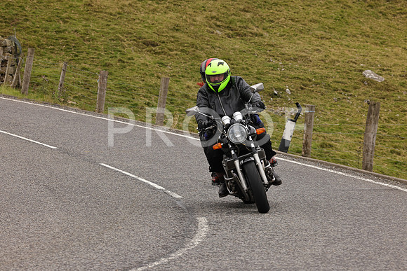 Steve - 3N3A9999 (4795)