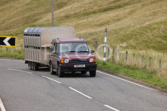 3N3A8189
