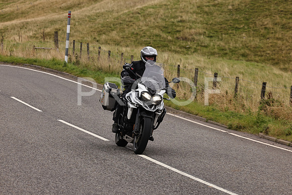 Steve - 3N3A9999 (3060)