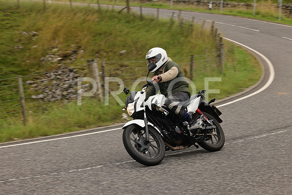 3N3A7655