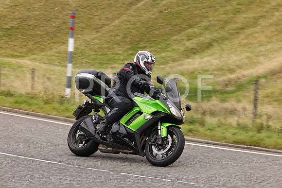 Steve - 3N3A9999 (3092)