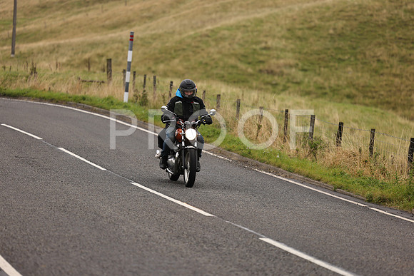 Steve - 3N3A9999 (1169)