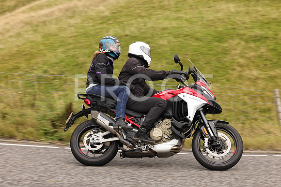 Steve - 3N3A9999 (5037)