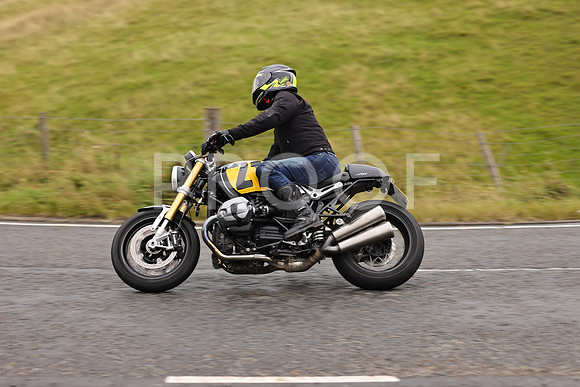 Steve - 3N3A9999 (990)