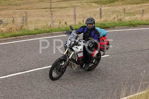 Dave - 3N3A061400 (152)