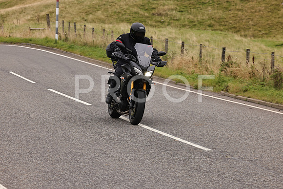 Steve - 3N3A9999 (3135)