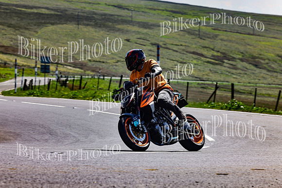 Daves (62)