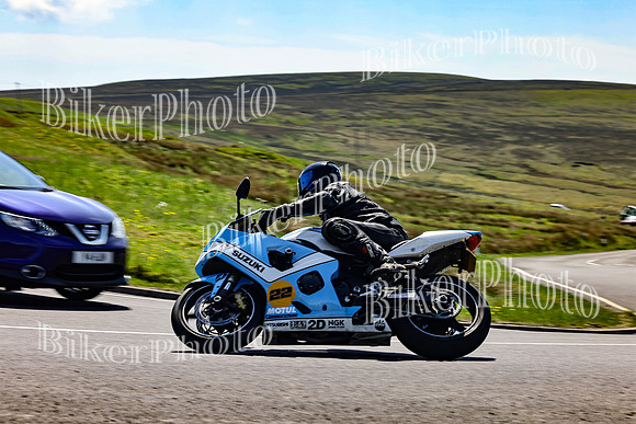 Daves (48)