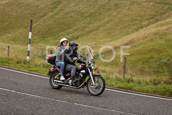 Steve - 3N3A9999 (1206)