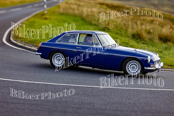 250A9217 (2)