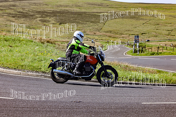 Daves (53)