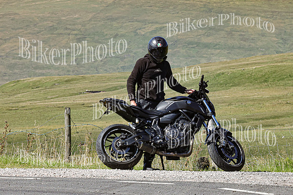 0W9A0301 (3)