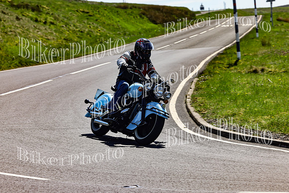 Daves (104)