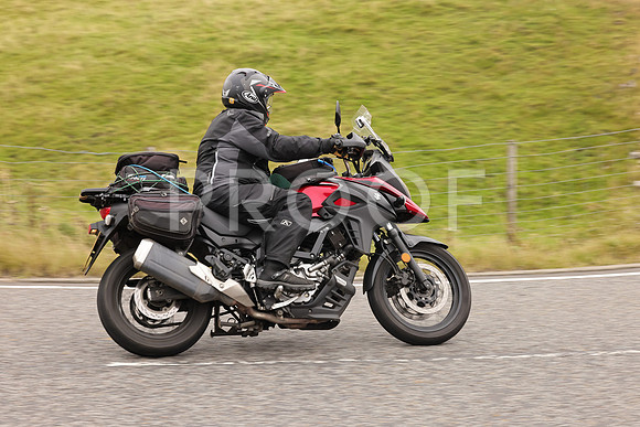 Steve - 3N3A9999 (2942)