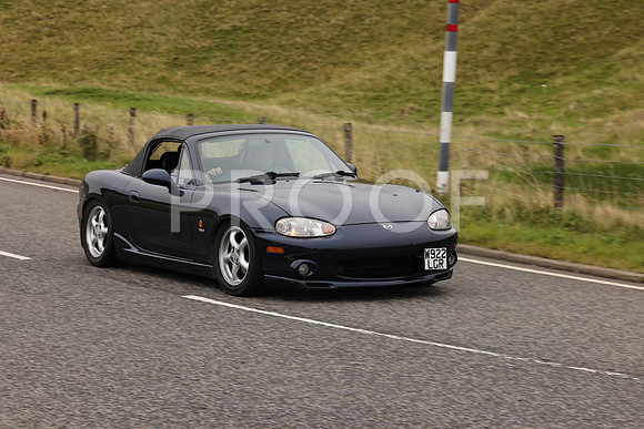 Steve - 3N3A9999 (2096)