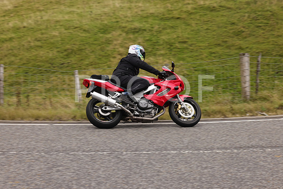 Steve - 3N3A9999 (4896)