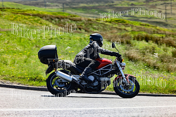 Daves (43)
