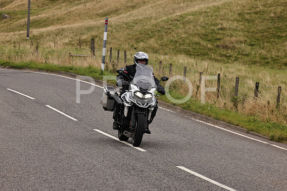 Steve - 3N3A9999 (3055)