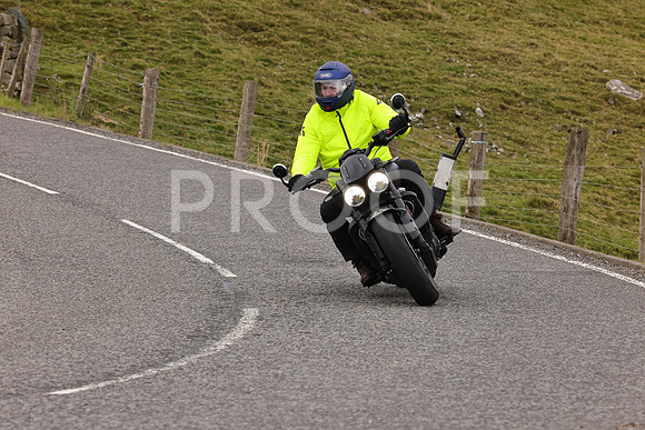 Steve - 3N3A9999 (4958)