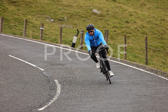 Steve - 3N3A9999 (1123)