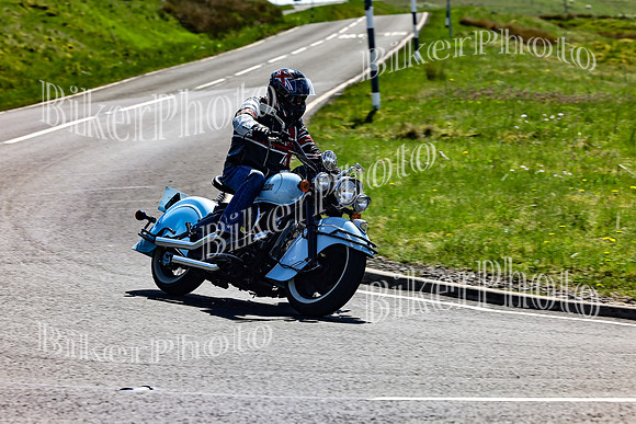 Daves (107)