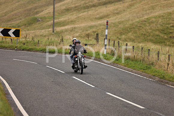 Steve - 3N3A9999 (1196)