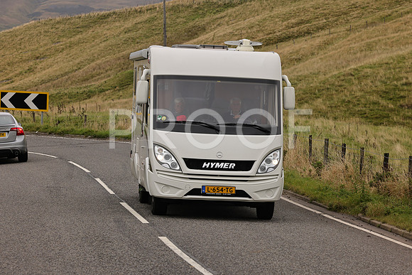 Steve - 3N3A9999 (3467)