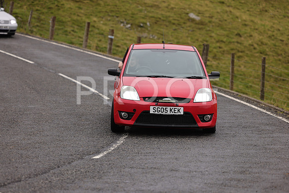 Steve - 3N3A9999 (1591)
