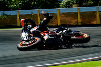 IMG_7674 101-2