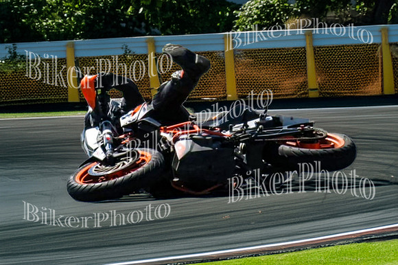 IMG_7674 101-2