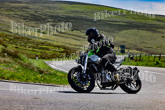 Daves (94)