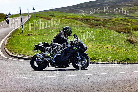 Daves (54)