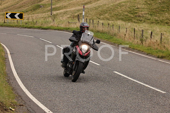 Steve - 3N3A9999 (2927)