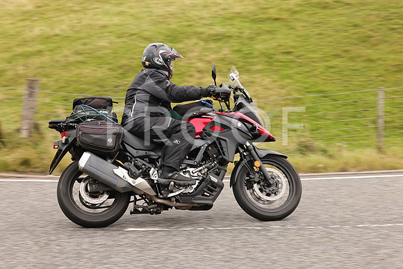 Steve - 3N3A9999 (2941)