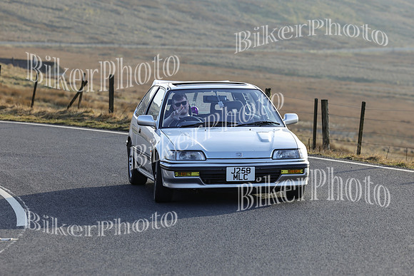 250A6383 (3)